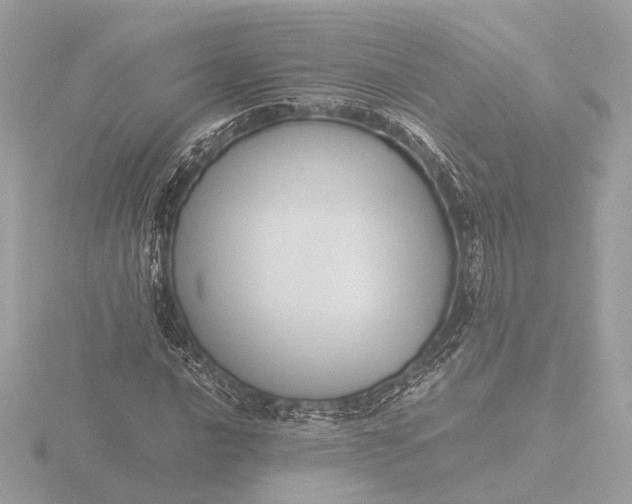 X0000116421016200912221441