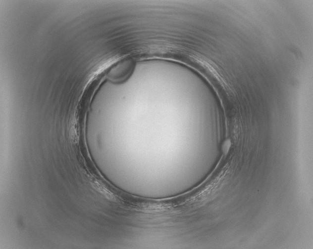X0000116421018200912221441