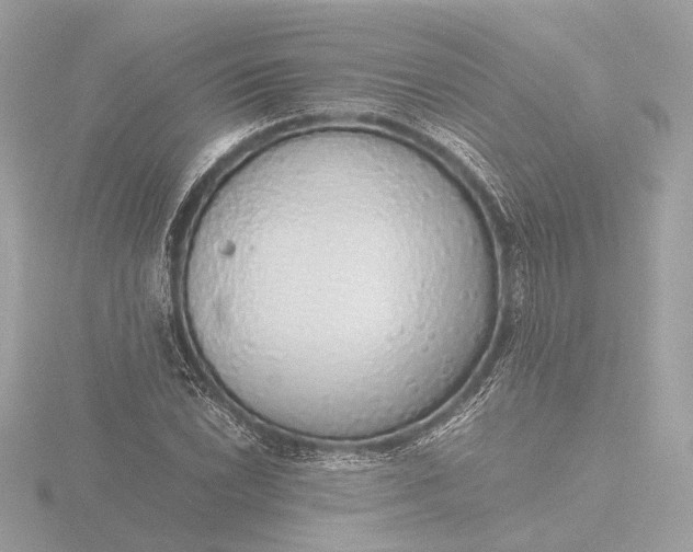 X0000116421022200912221441