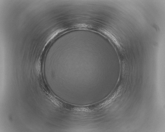 X0000116421023200912221441