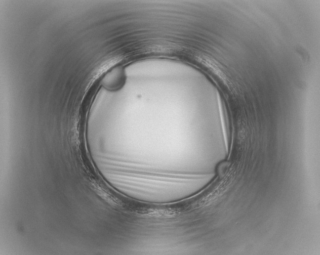 X0000116421026200912221441