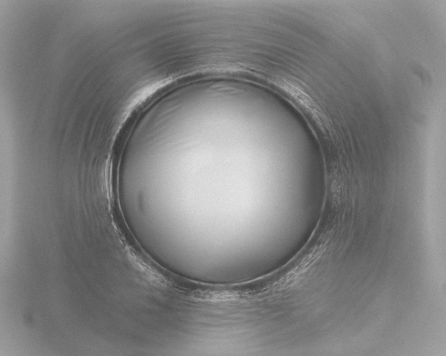 X0000116421030200912221441