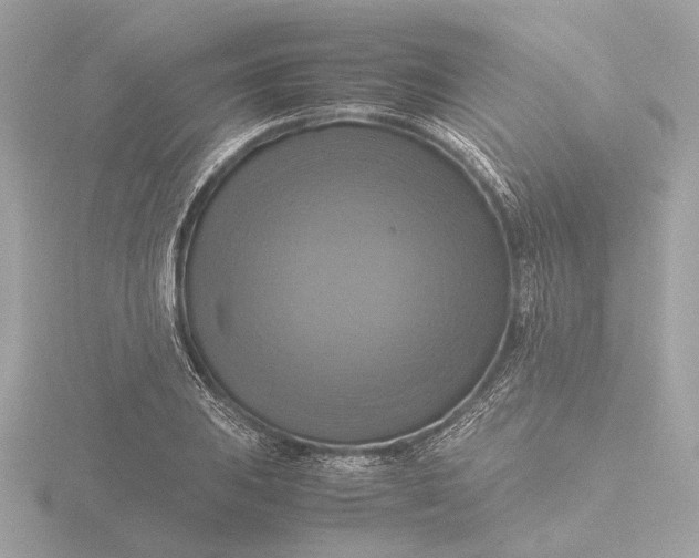 X0000116421031200912221441
