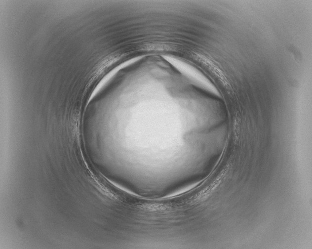 X0000116421033200912221441