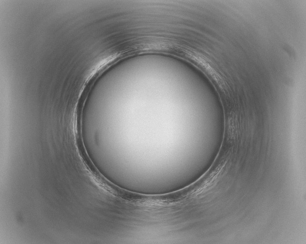 X0000116421034200912221441