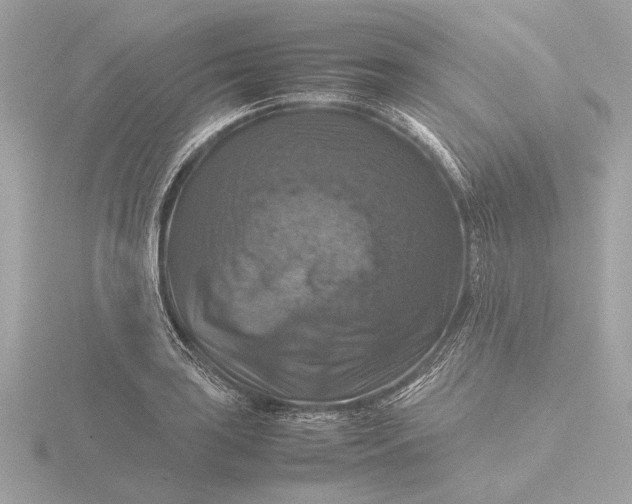 X0000116421035200912221441