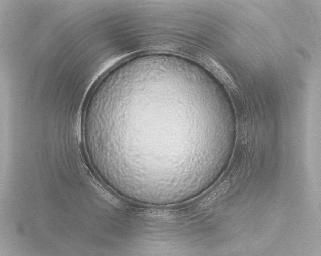 X0000116421036200912221441