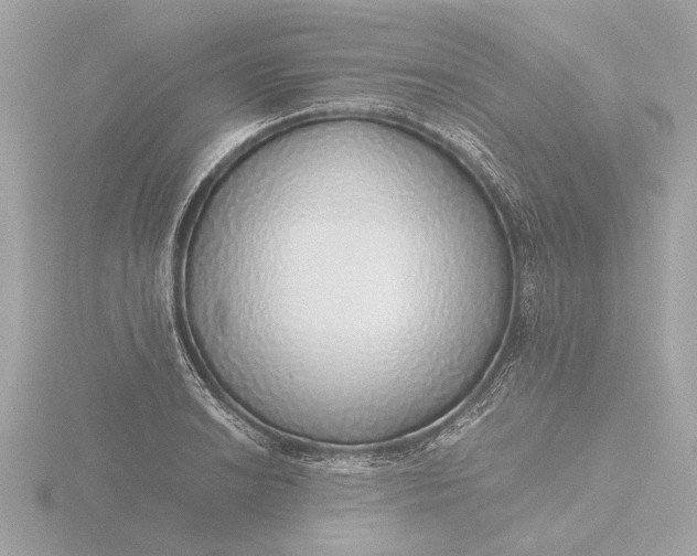 X0000116421038200912221441