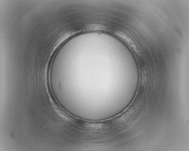 X0000116421039200912221441