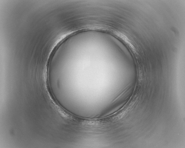X0000116421040200912221441