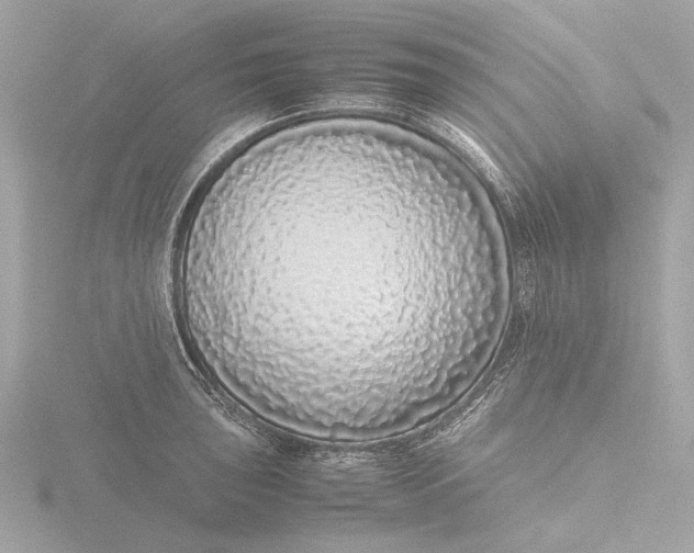X0000116421043200912221441