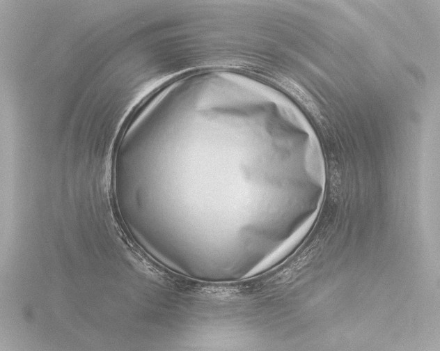 X0000116421044200912221441