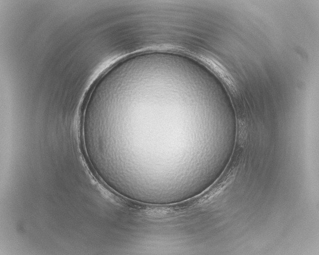 X0000116421046200912221441