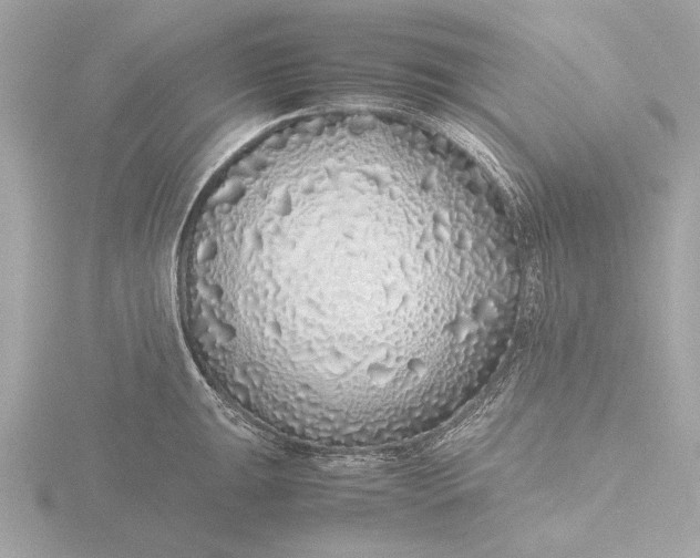 X0000116421047200912221442