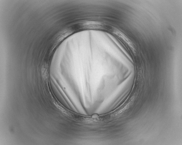 X0000116421049200912221442