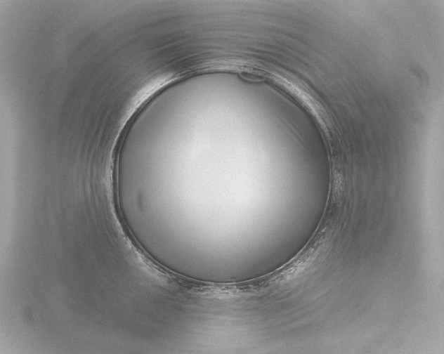 X0000116421050200912221442