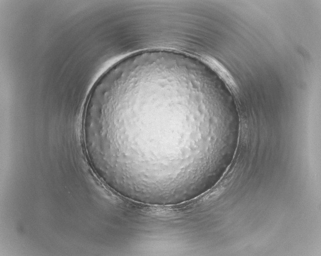 X0000116421052200912221442