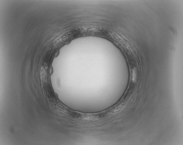 X0000116421059200912221441