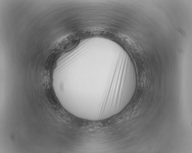 X0000116421062200912221441