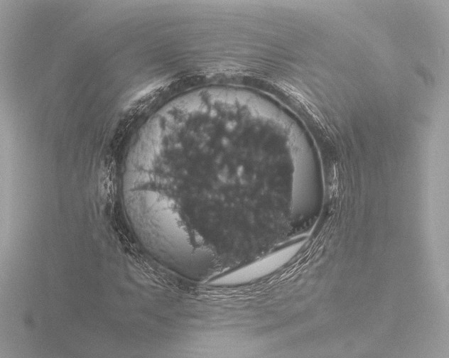 X0000116421063200912221441
