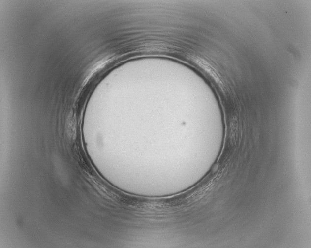 X0000116421067200912221441