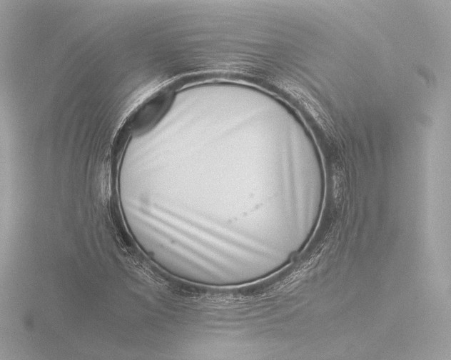 X0000116421069200912221441