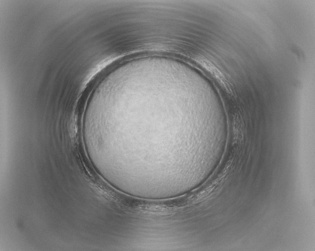 X0000116421070200912221441