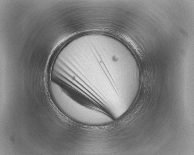 X0000116421072200912221441