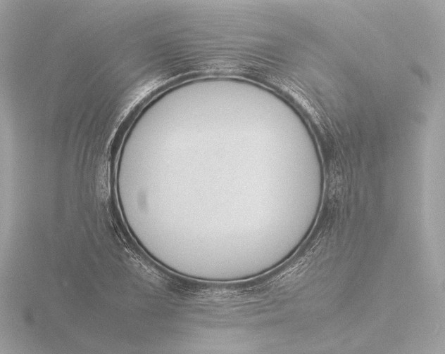 X0000116421075200912221441