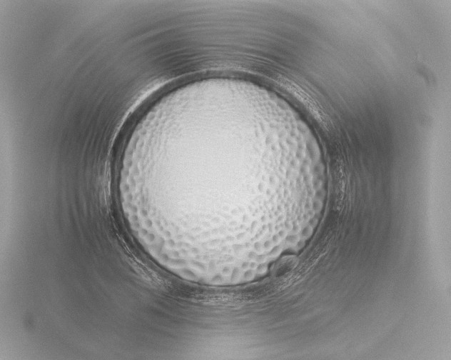 X0000116421076200912221441