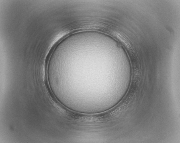 X0000116421079200912221441