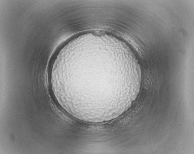 X0000116421080200912221441