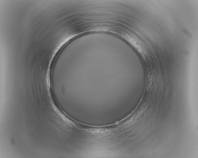X0000116421084200912221441