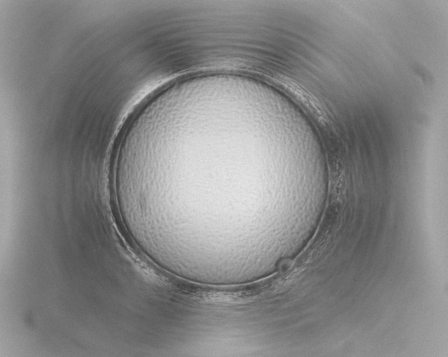 X0000116421086200912221441