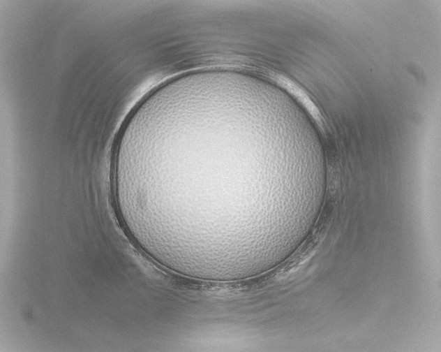 X0000116421099200912221440