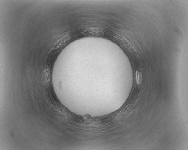 X0000116421107200912221440