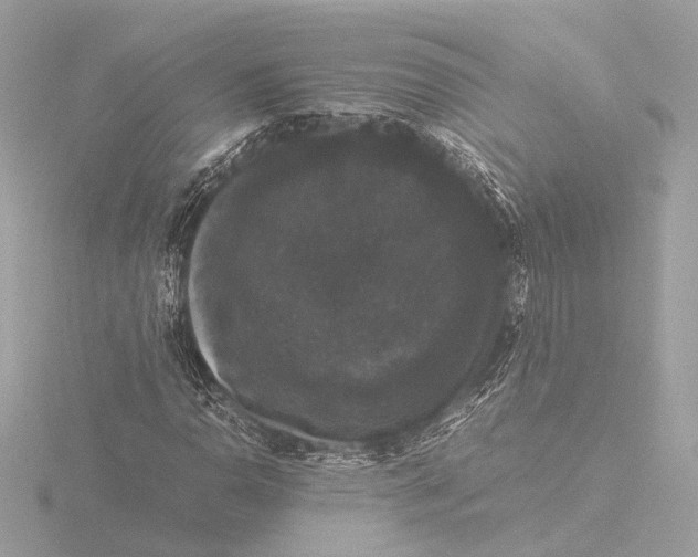 X0000116421110200912221440