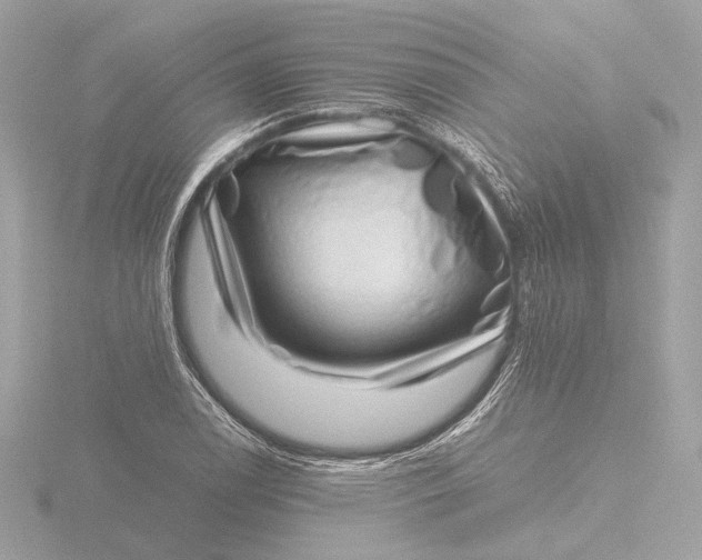 X0000116421122200912221440
