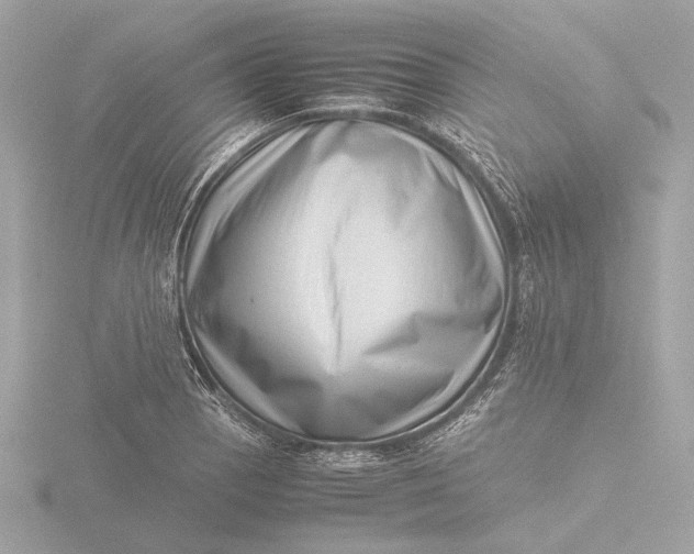 X0000116421129200912221440