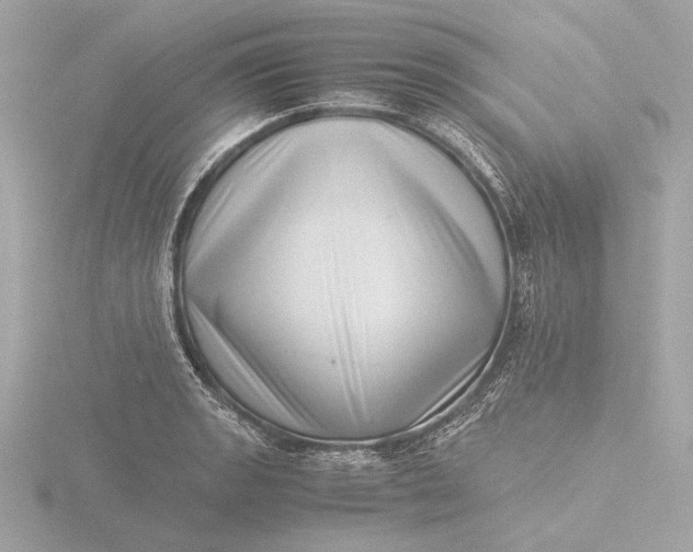 X0000116421133200912221440
