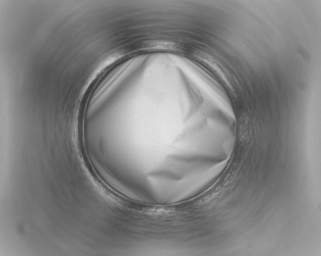 X0000116421139200912221440