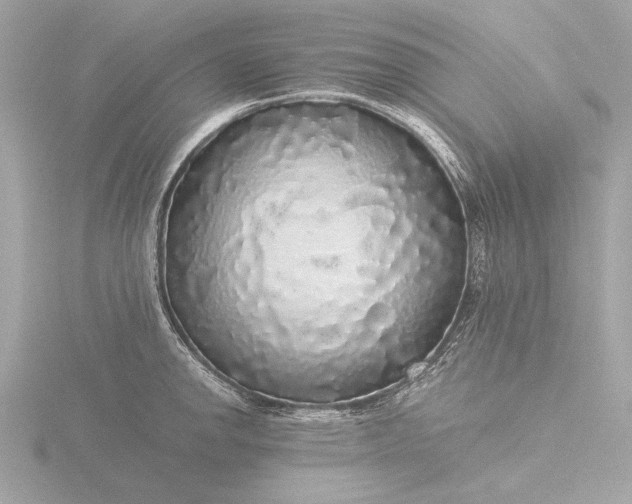 X0000116421142200912221440