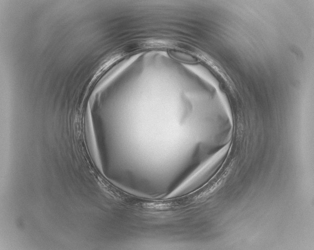X0000116421145200912221440