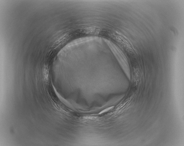 X0000116421154200912221440