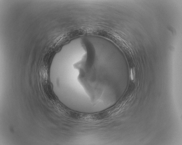 X0000116421155200912221440