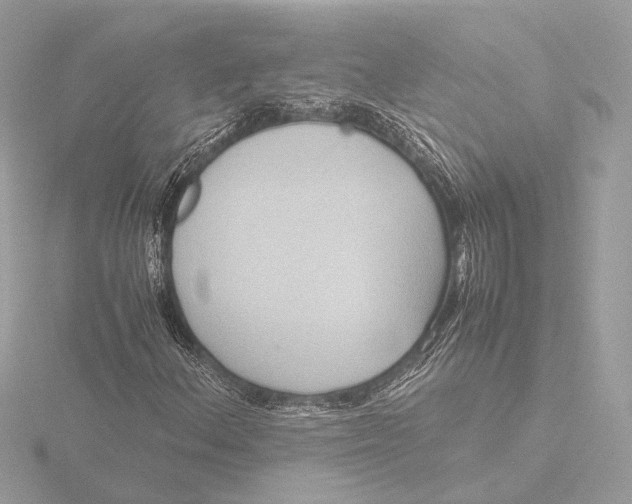 X0000116421156200912221440