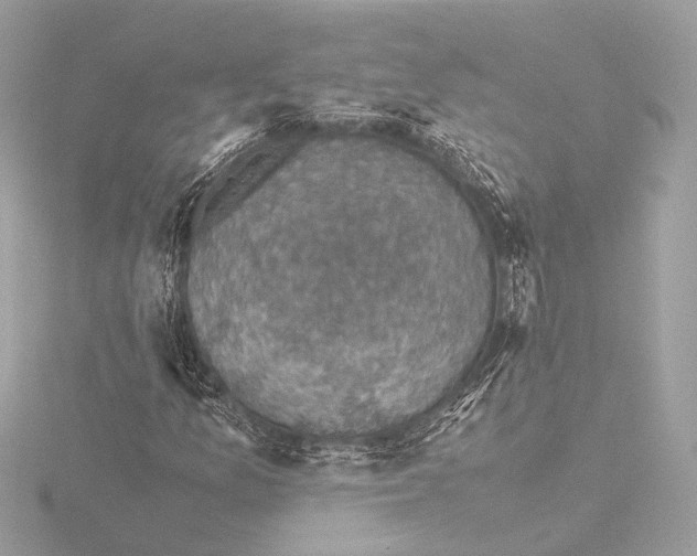X0000116421157200912221440
