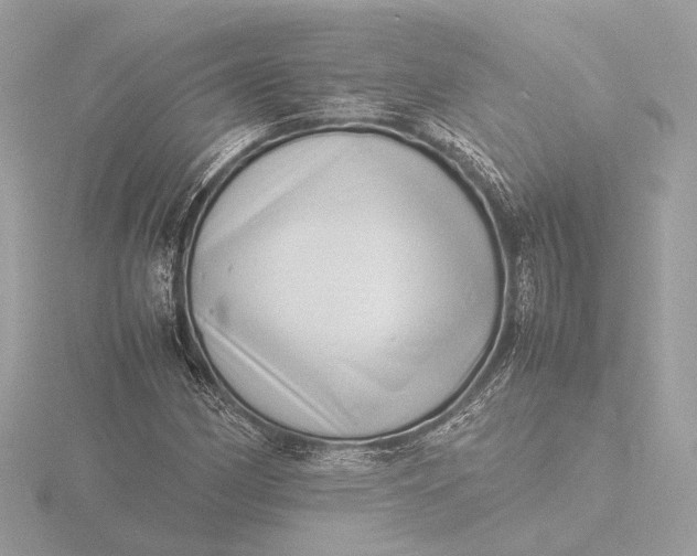 X0000116421162200912221440