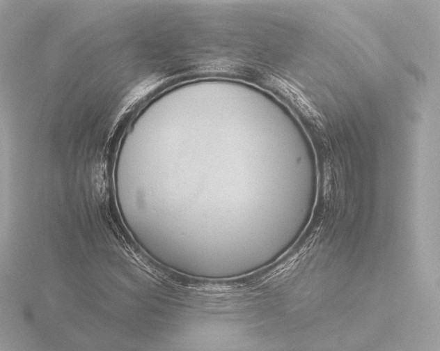 X0000116421164200912221440