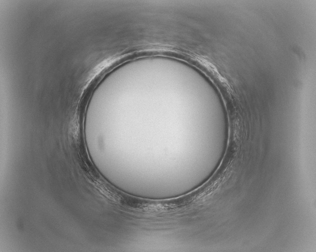 X0000116421167200912221440